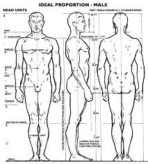 the male female form ideal proportions in art the elle report ideal female form