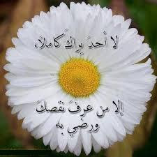 صور ورود مكتوب عليها عبارات حب صور ورود مكتوب عليها عبارات حب