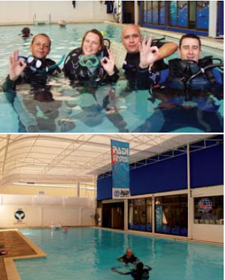 sea world dive team