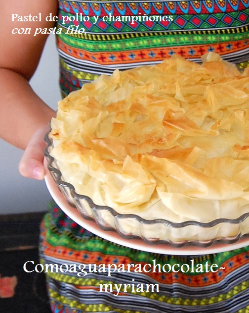 Pastel De  Pollo Y  Champiñones Con Pasta Filo.
