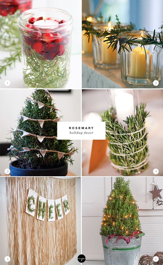 24 ways to decorate with rosemary this holiday | Rosemary holiday decor