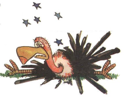 imagem de urubu depenado imagem de urubu depenado