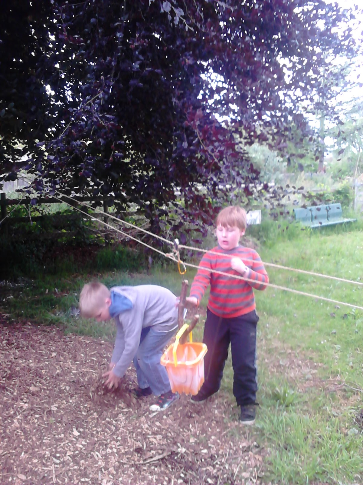 Tinderbox Forest School A rope, a bucket, and a couple of pulleys= Fun
