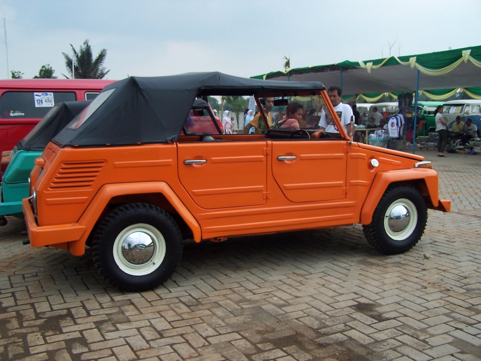 safari 181
