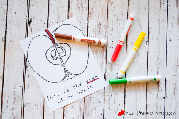 The Parts Of An Apple Color, Read, and Learn Free Printable Book - A ...