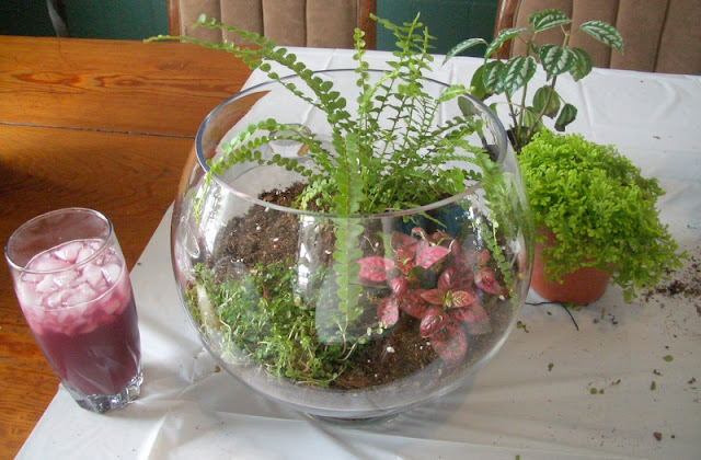 Cool Home Creations: Bring in the Outdoors: Terrarium (Second Edition)