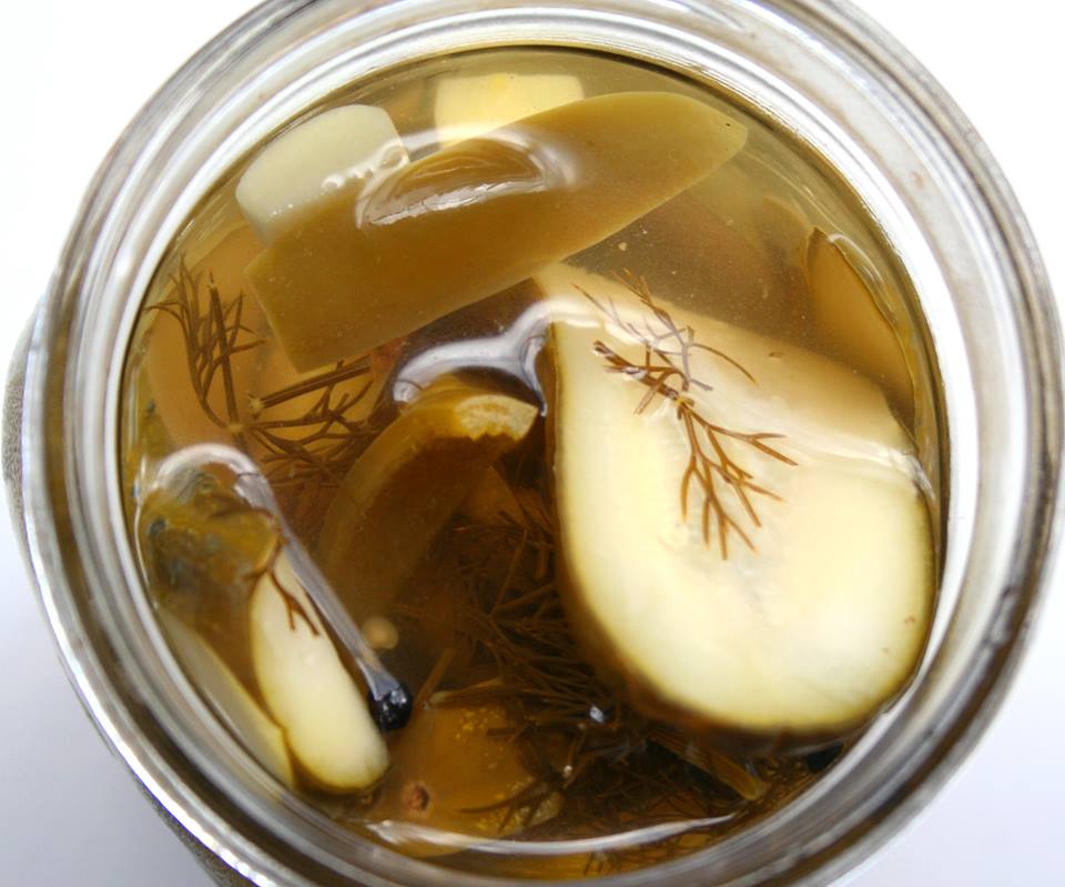 SPLENDID LOWCARBING BY JENNIFER ELOFF Spicy Dill Refrigerator Pickles