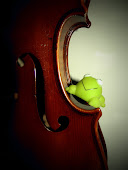 Froggie on my Violin