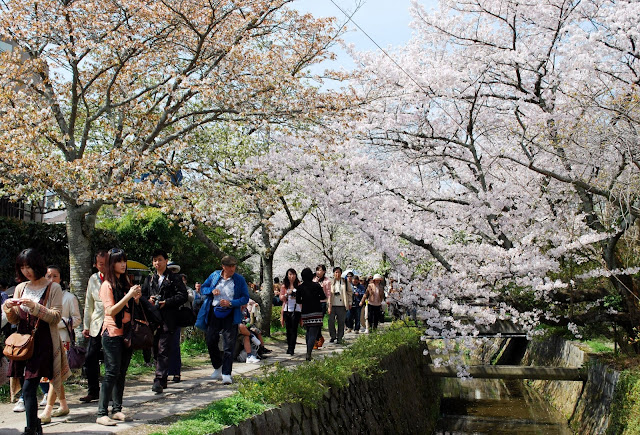 Philosopher's Path in Kyoto