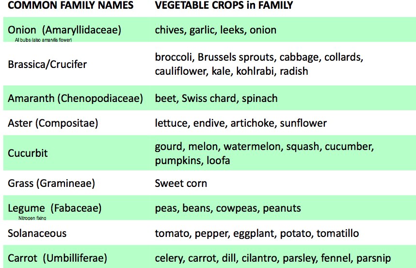 Vegetable Families Home Food Production