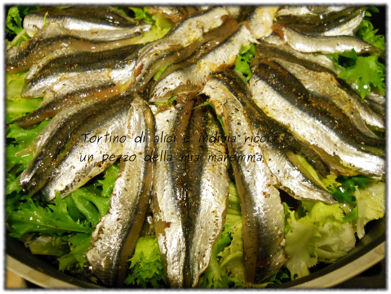 Indivia Riccia