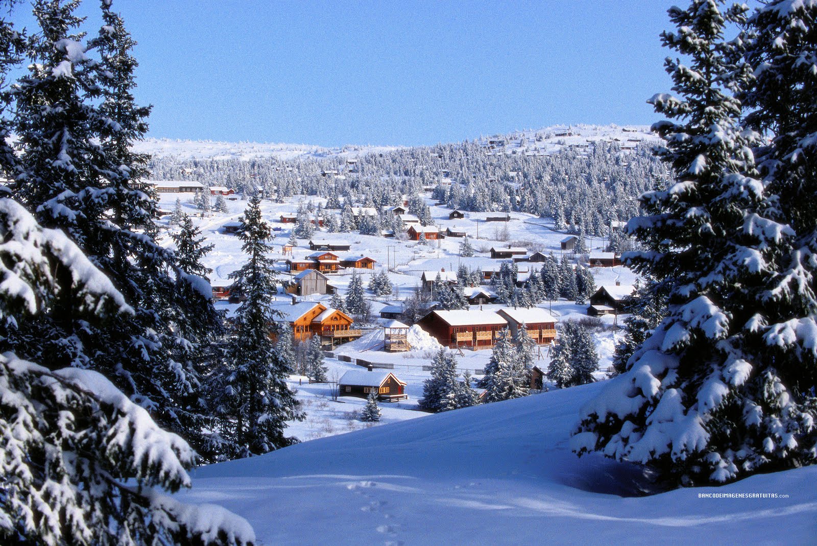 Paisajes nevados o snowscapes - Taringa!