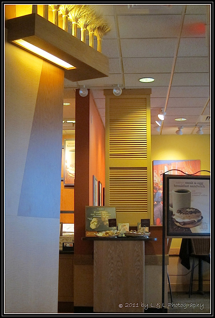Ocala, Central Florida & Beyond Panera Bread Interior