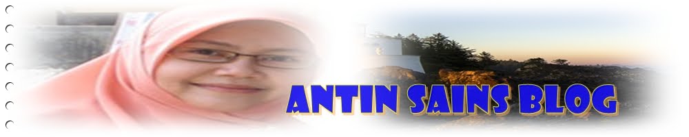 ANTIN SAINS