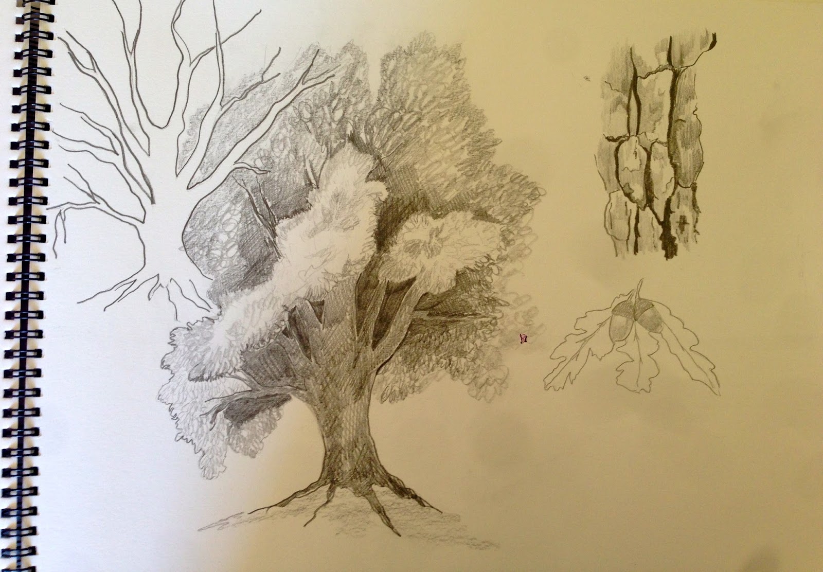 Drawing trees | OCAdrawing1jfm