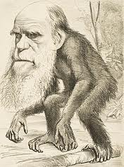 Darwinismo é a raiz da cultura da morte  Darwin+2