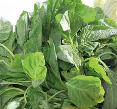 Prevent osteoporosis with spinach