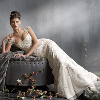 Wedding Dresses Wedding Dresses