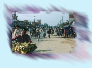 Info Nepal: Terai Region Of Nepal Info Nepal: Terai Region Of Nepal