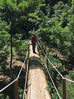 Passando sobre uma ponte feita a partir de um tronco de árvore