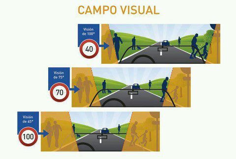 Campo Visual