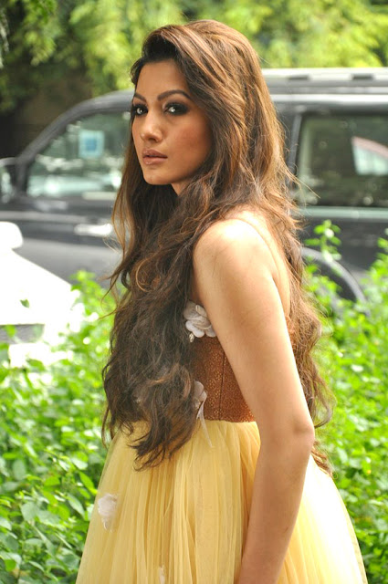 Actress Gauhar Khan sizzling photo shoot