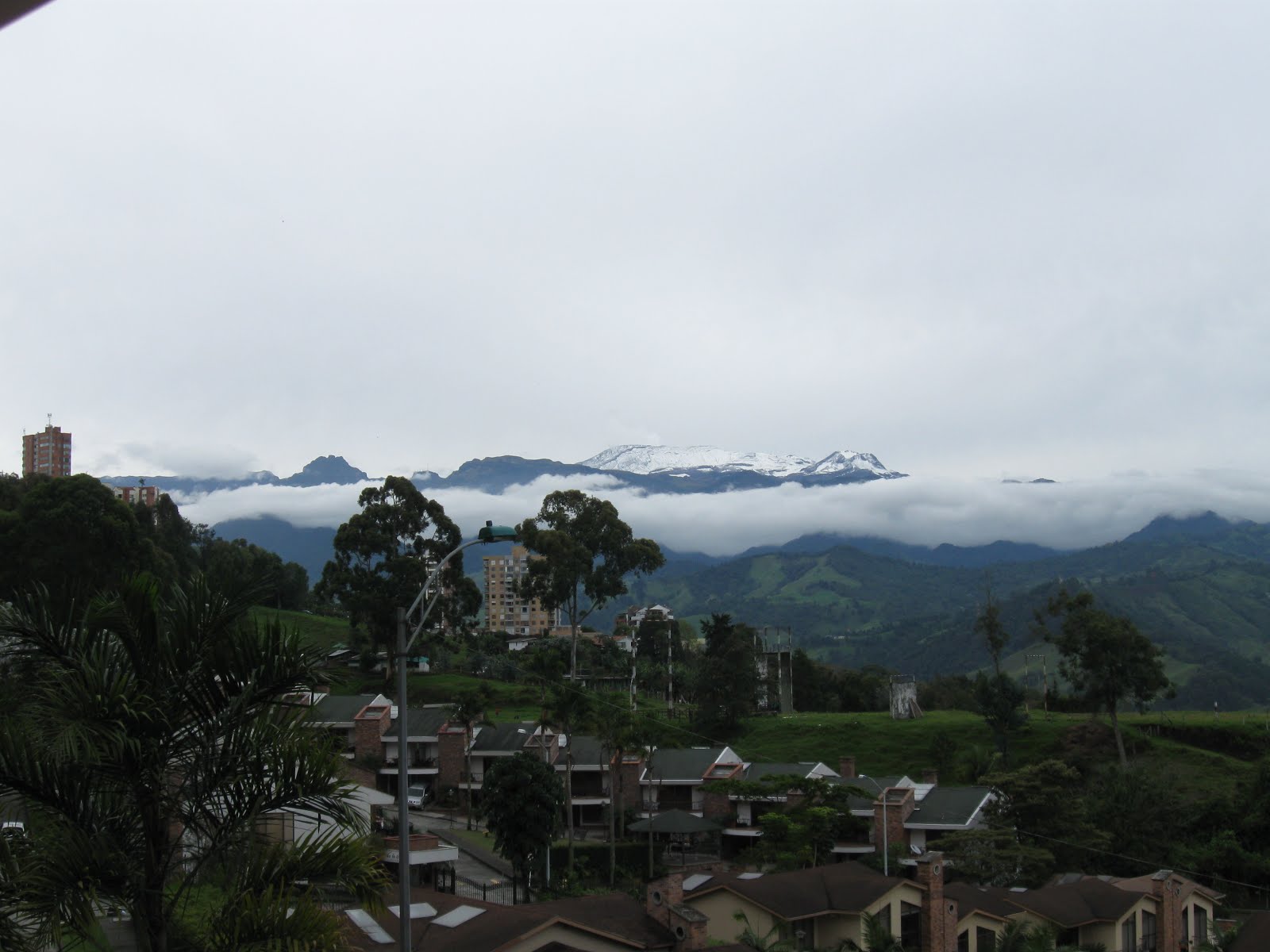 Manizales