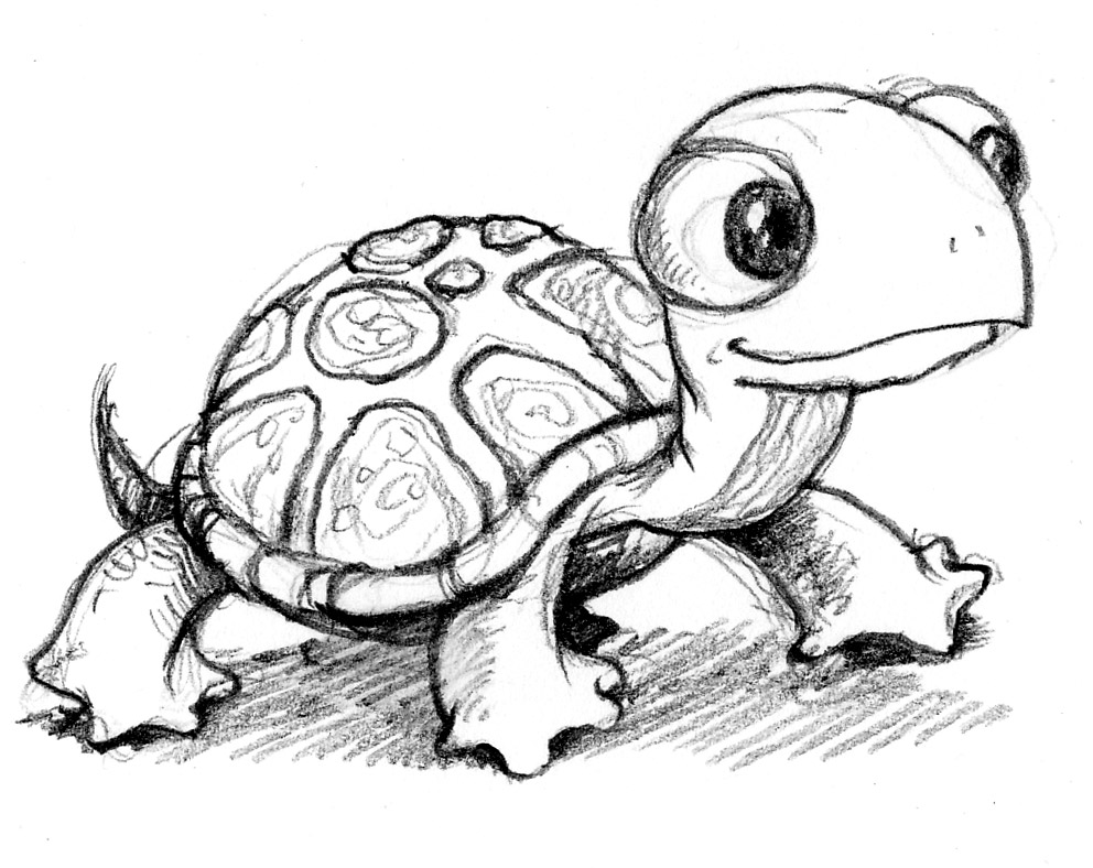 New Turtle Sketch Drawing for Kids