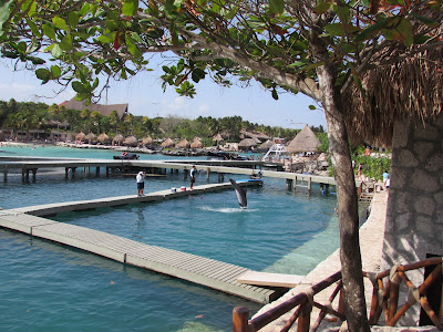 Mexico - Parque Xcaret (Playa del Carmen) Parque Xcaret en Playa del Carmen, Lugares para visitar en Playa del Carmen, Turismo en Mexico, Xcaret, Espectaculo nocturno de Xcaret, Xcaret o Xel-ha