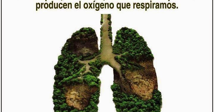 Si haber por el fumar unos granos sobre la persona