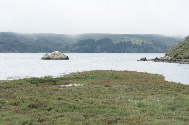 Tomales Bay in the fog