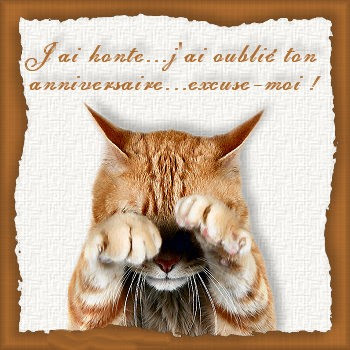 Un joyeux anniversaire - Page 3 C-chat-j-ai-honte