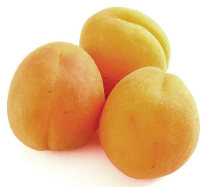 Fruits & Vegetables Benefits benefits of eating apricots