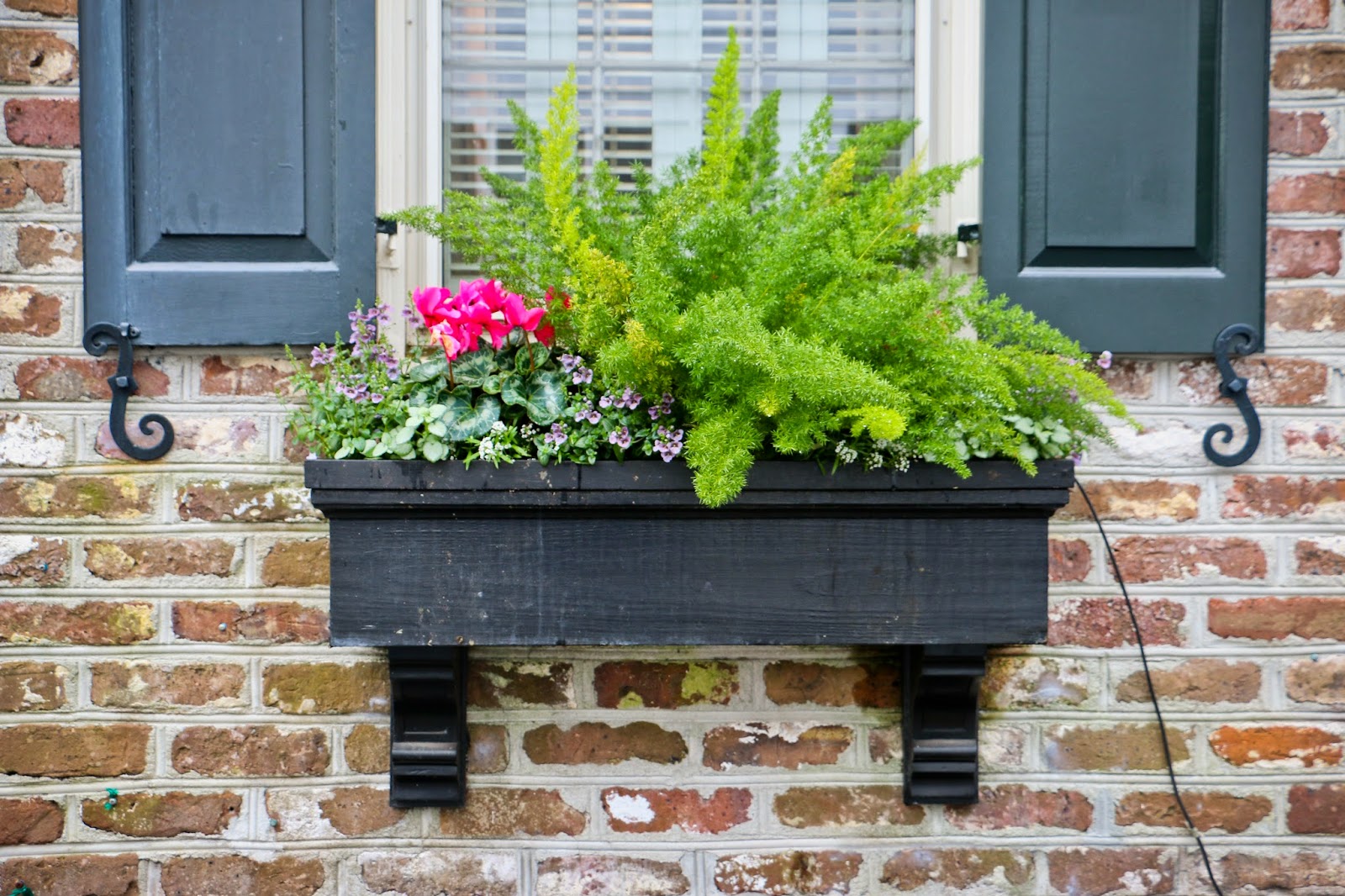 Charleston Daily Photo Charleston window boxes December style