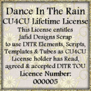 DITR CU4CU Lifetime License