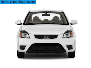Kia rio car 2013 front view - صور سيارة كيا ريو 2013 من الخارج Kia rio car 2013 front view - صور سيارة كيا ريو 2013 من الخارج