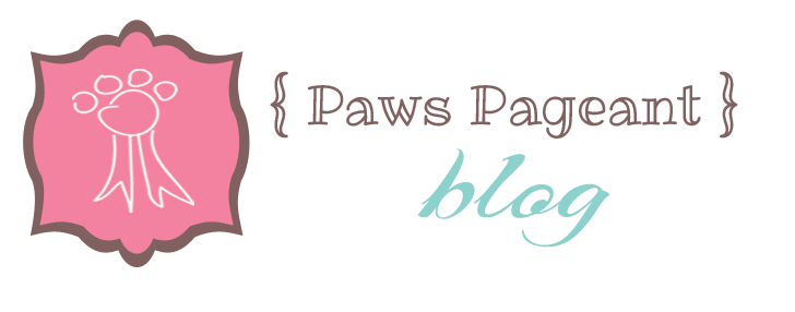 Paws Pageant