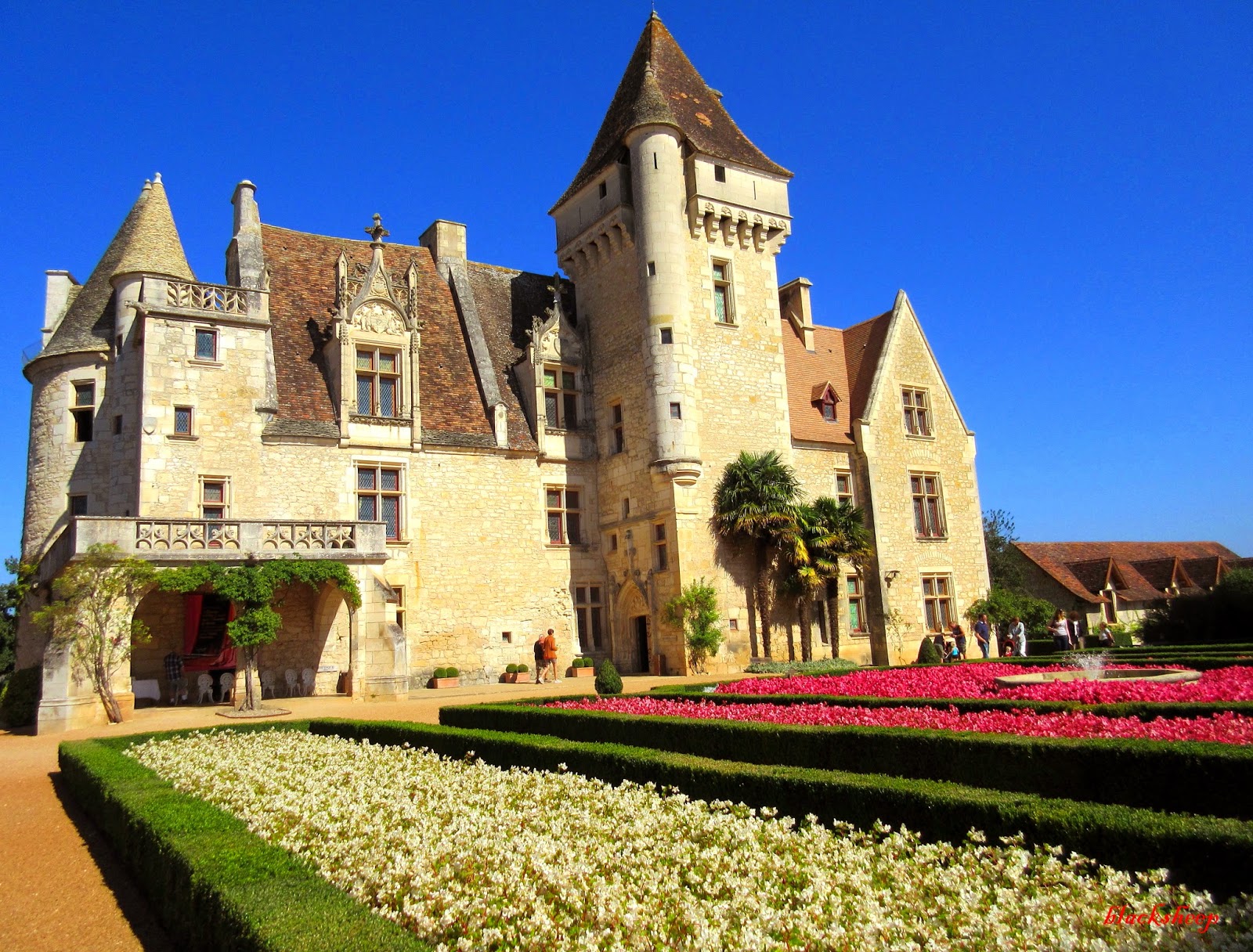 Blacksheep's bit of the Web: Wrapping up the Dordogne.... Chateau de