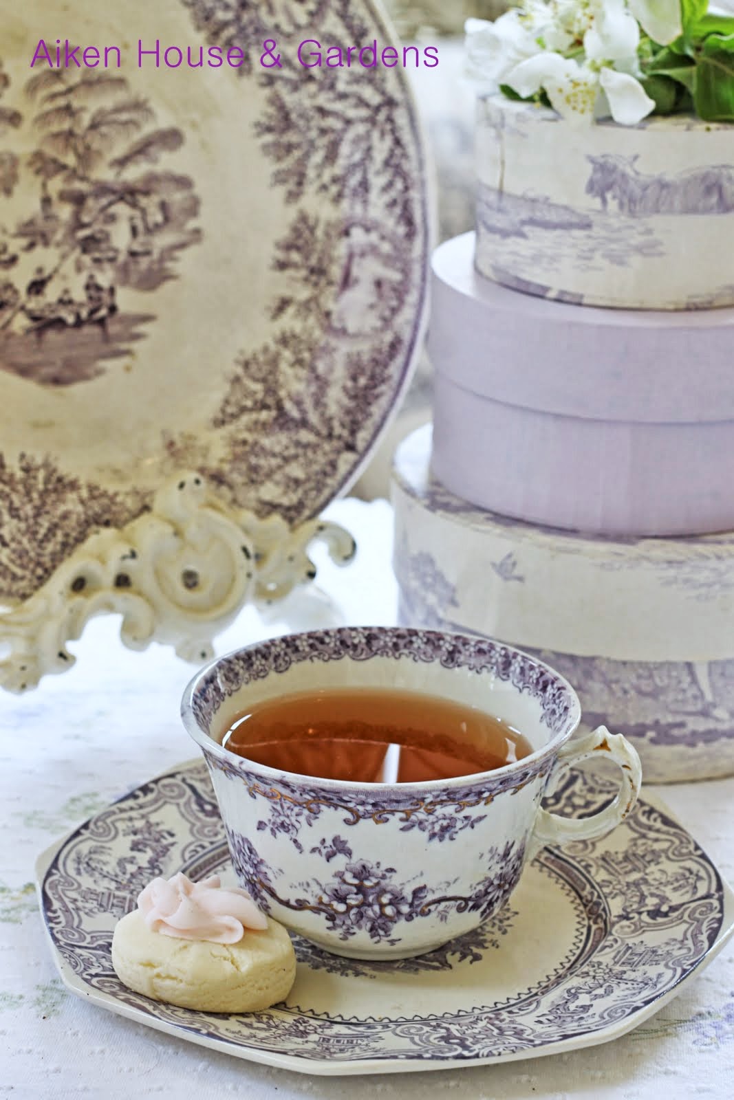 Aiken House & Gardens Sunday Afternoon Lilac Tea