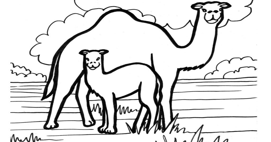 Camel Coloring Pages | Realistic Coloring Pages