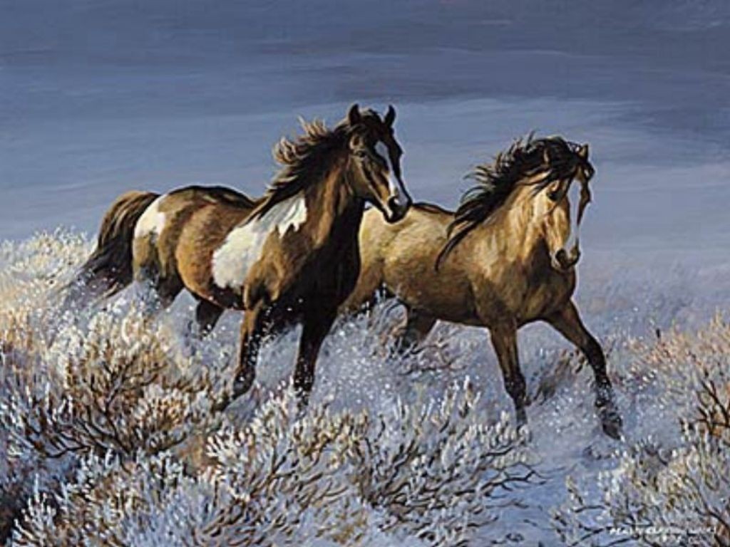 http://4.bp.blogspot.com/-oZpzqIxQLL4/Tnh2RBJe9xI/AAAAAAAAAKU/Cykd43ykhW4/s1600/Black%20wild%20horses%20%2821%29.jpg