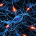 La música bajo la lupa de las neurociencias