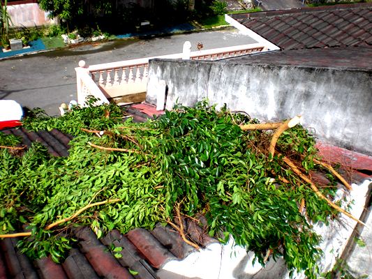 kejadian banjir