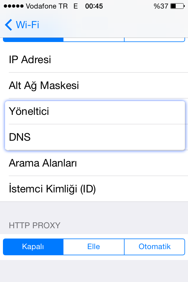 Iphone DNS