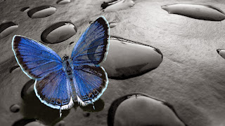 Wallpapers For Mobile Free Download ~ Unique Wallpapers