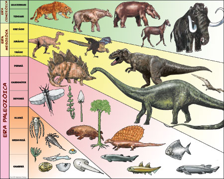 En Que Epoca Vivieron Los Grandes Dinosaurios