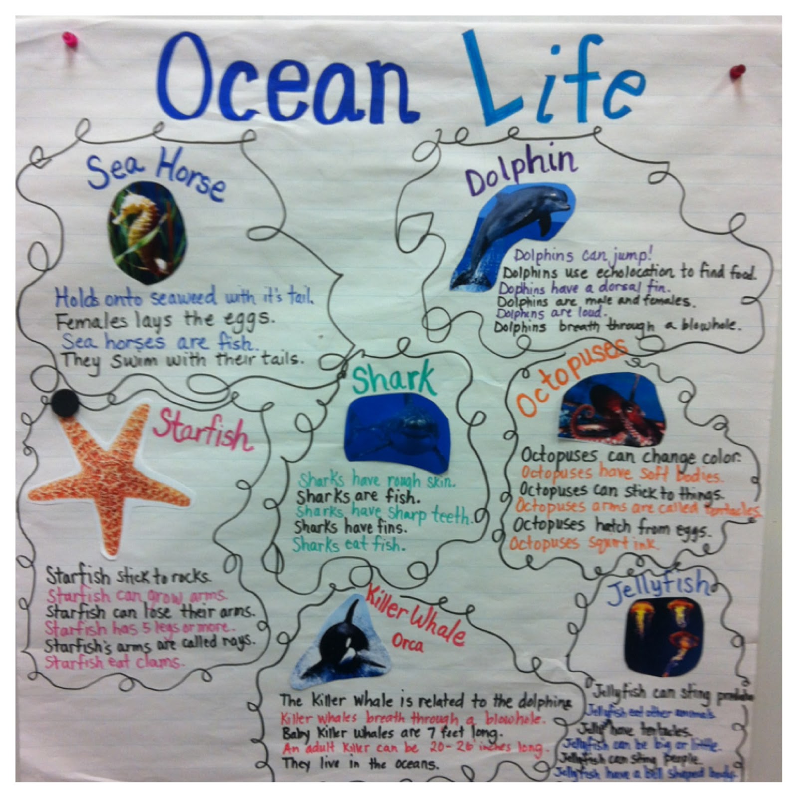 Little Miss Hood's Adventures in Kindergarten: An Ocean Adventure