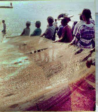 fishing boat depreciation method living with nature school on blog by dr abercio v fishing boat depreciation method living with nature school on blog by dr abercio v
