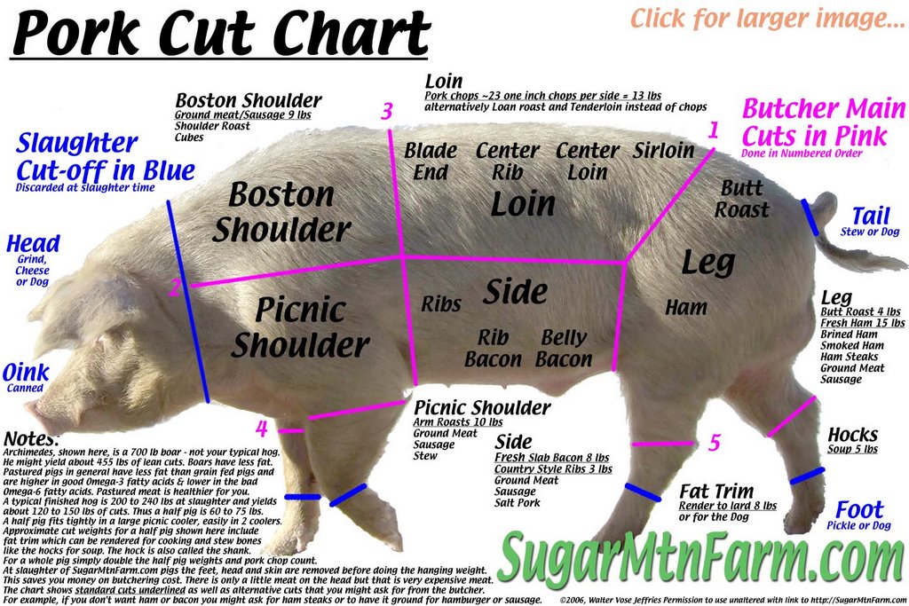 Australian Pork Cuts Chart