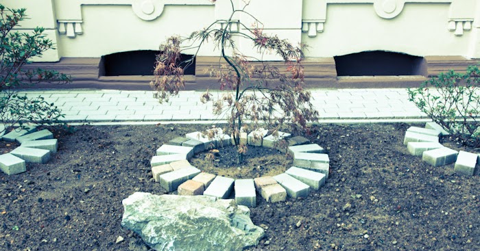 Gartenblick-Gartenfotografie: German Vorgarten